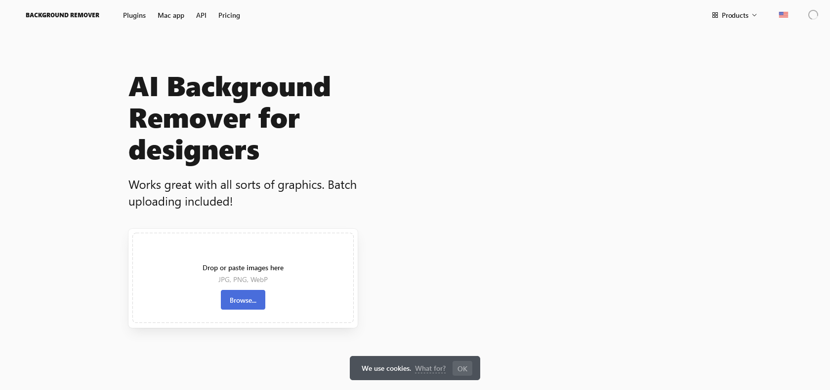 Screenshot of Background Remover Website