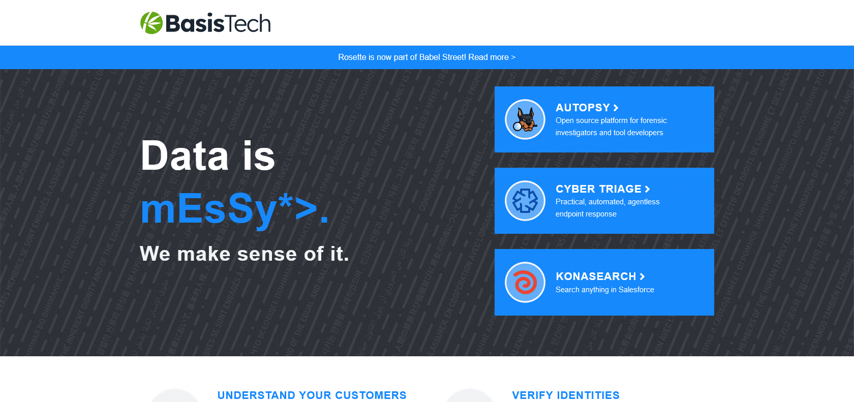 Screenshot of Basis Technology Website