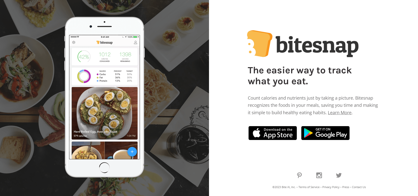 Screenshot of Bitesnap Website