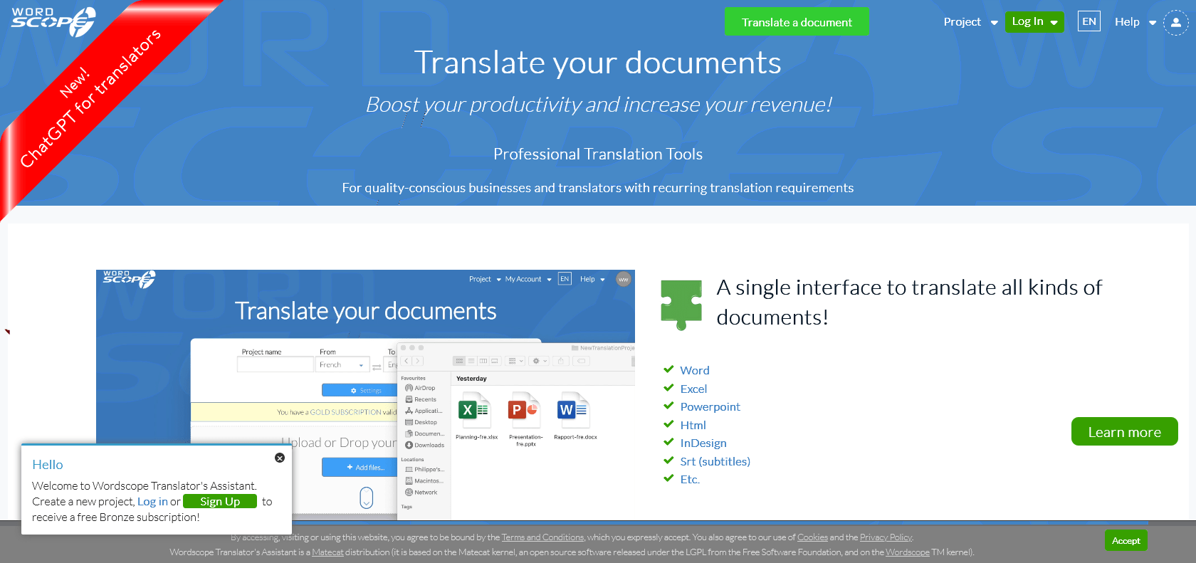 Screenshot of ChatGPT for Translators Website