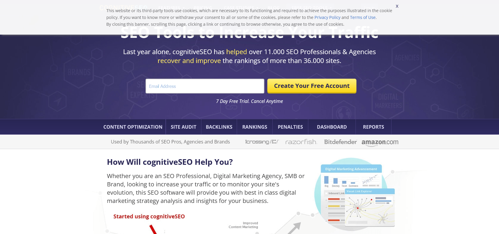 Screenshot of CognitiveSEO Website
