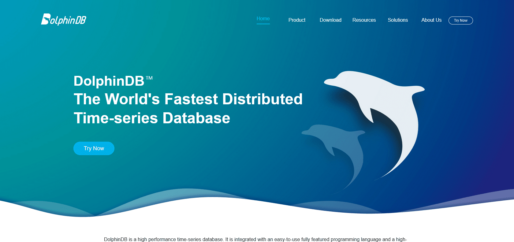 Screenshot of DolphinDB Website