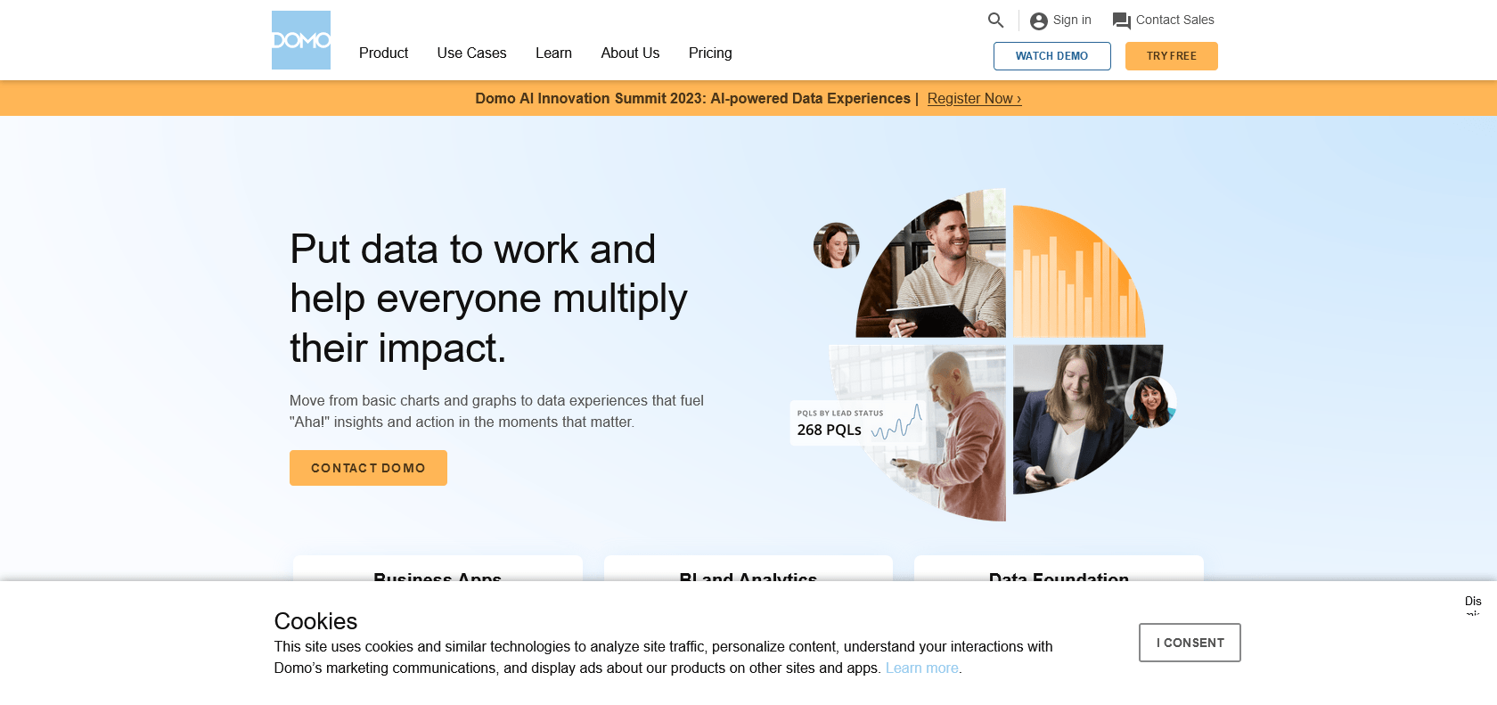 Screenshot of Domo Website