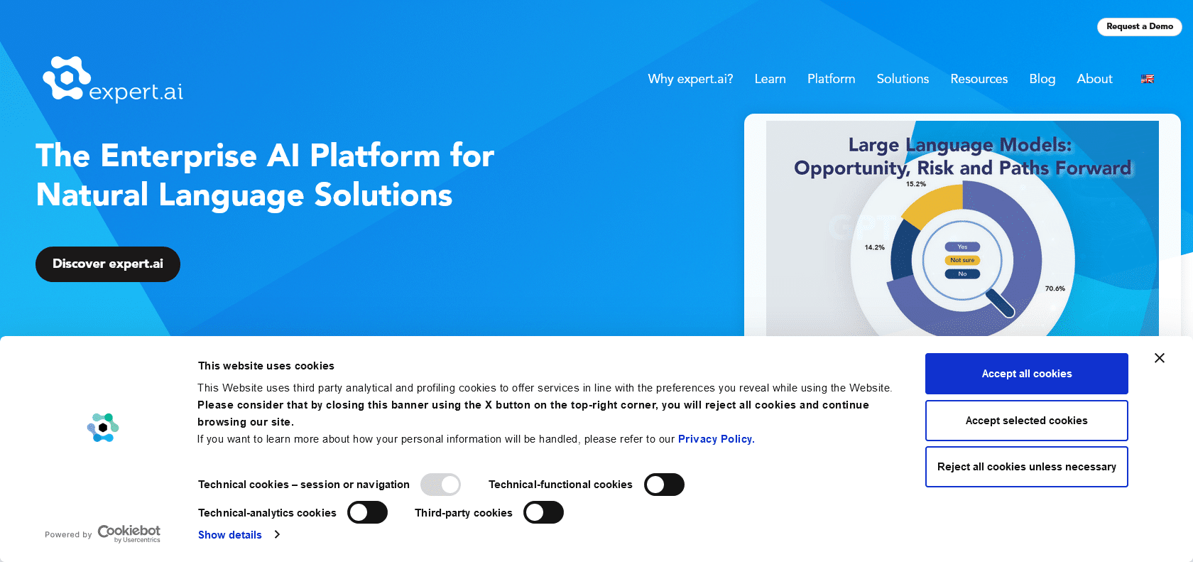 Screenshot of Expert System Website