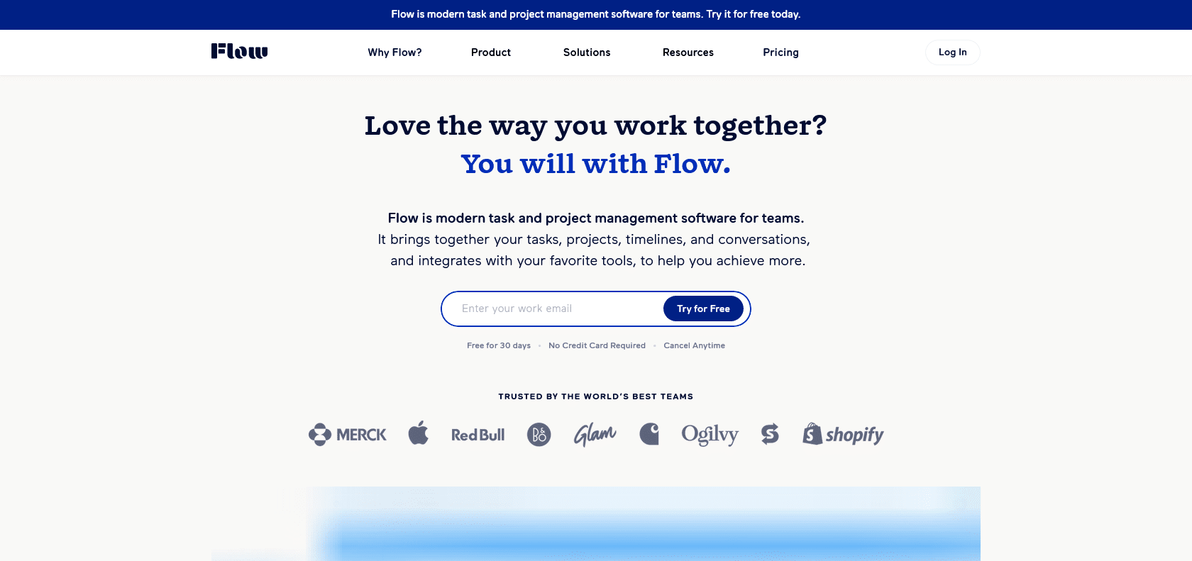 Screenshot of Flow Website