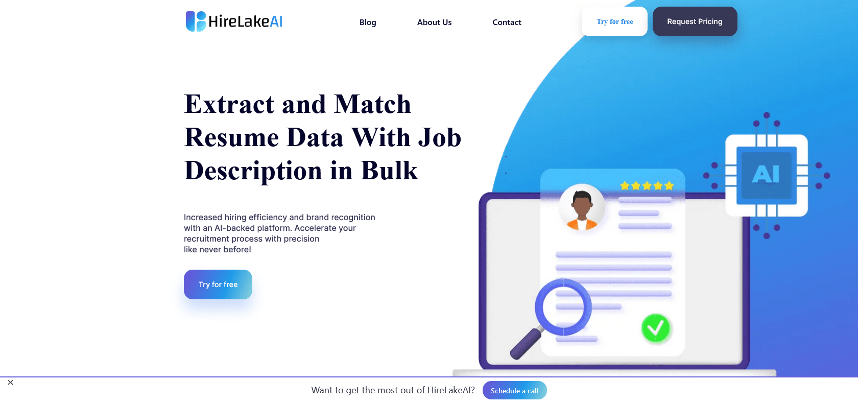 Screenshot of HireLakeAI Website