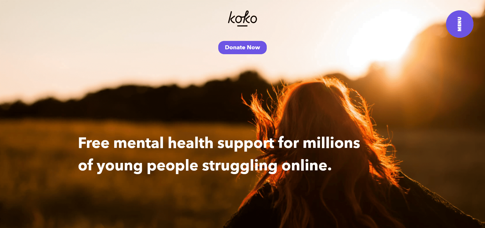 Screenshot of Koko Website