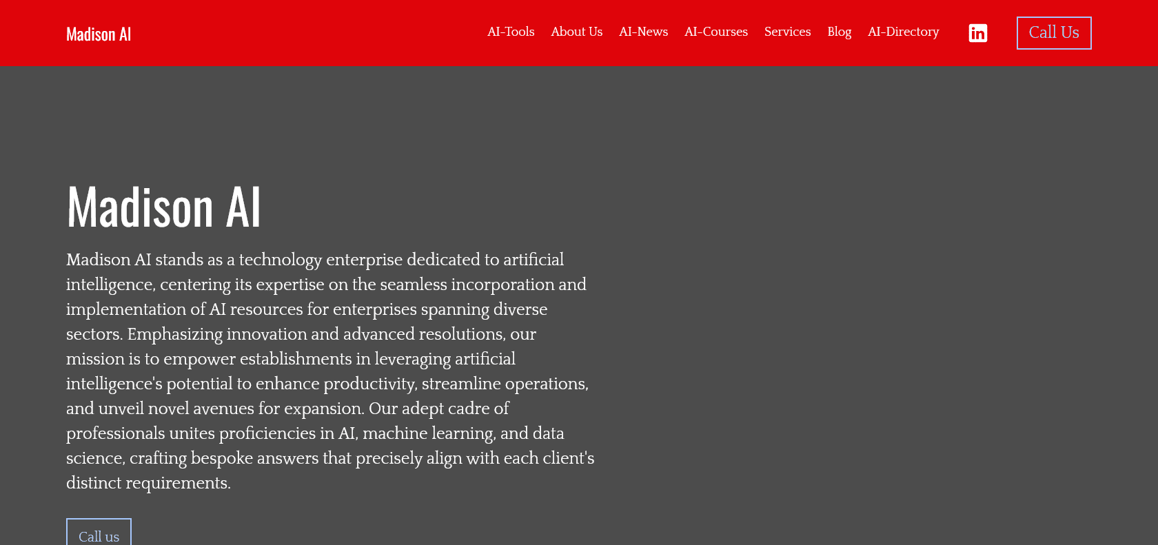 Screenshot of Madison AI Website
