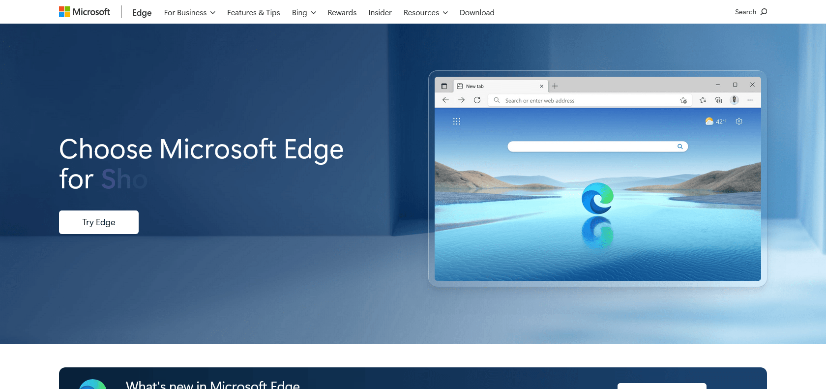 Screenshot of Microsoft Edge Website