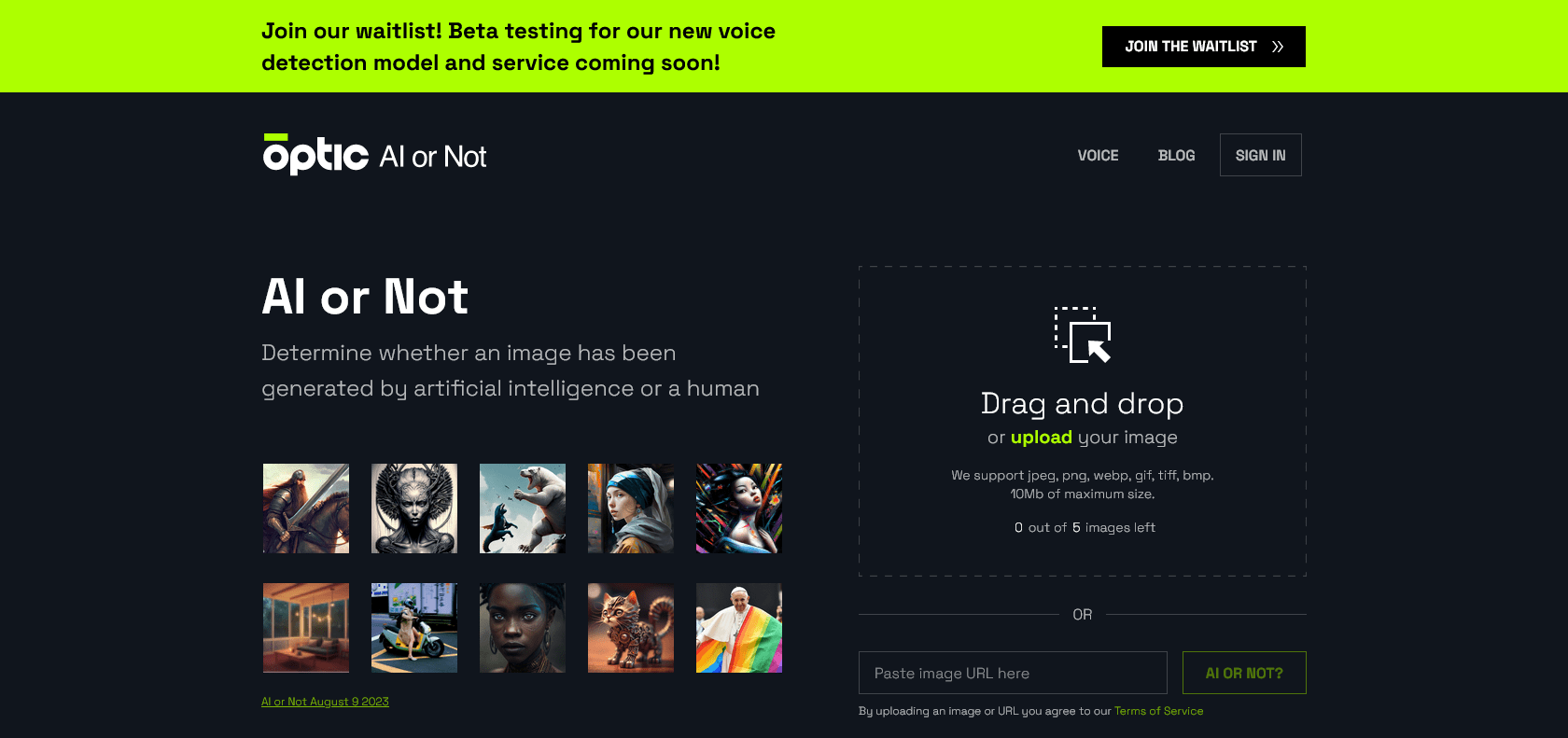 Screenshot of Optic Website