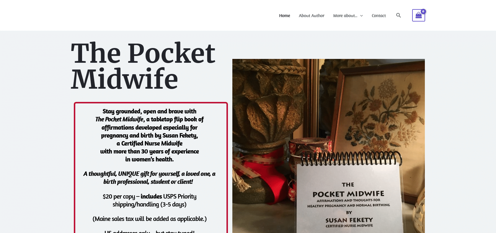 Screenshot of PocketMidwife Website