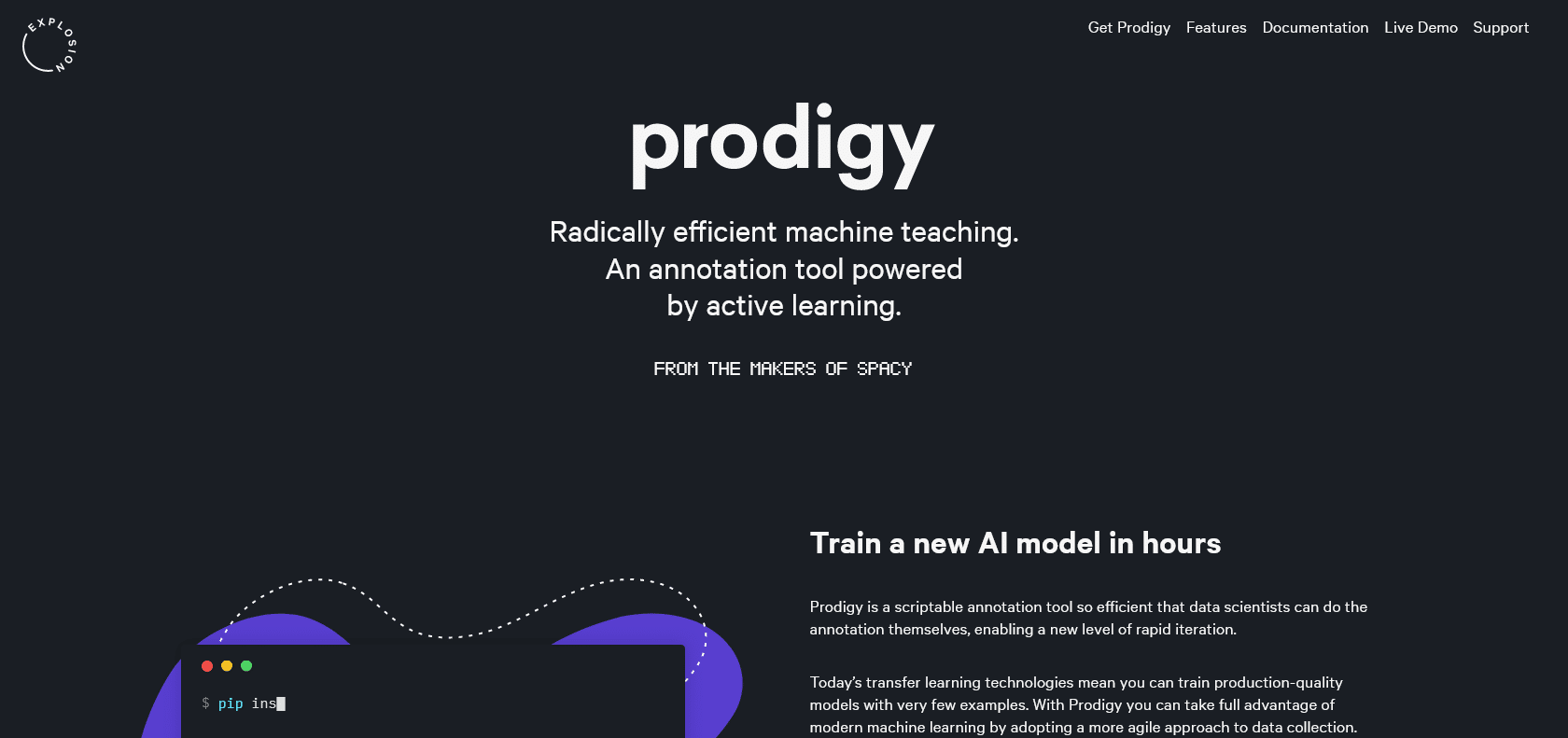 Screenshot of Prodigy Website