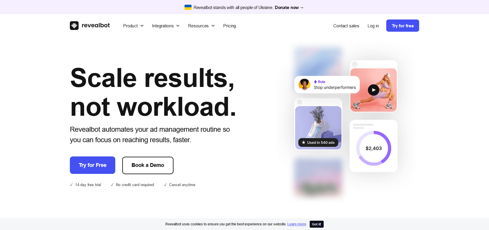 Screenshot of Revealbot Website