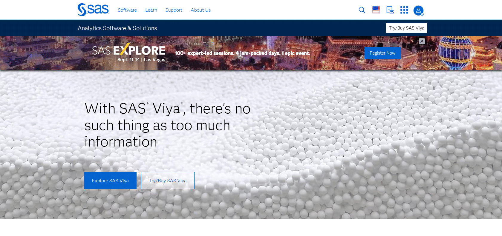 Screenshot of SAS Website