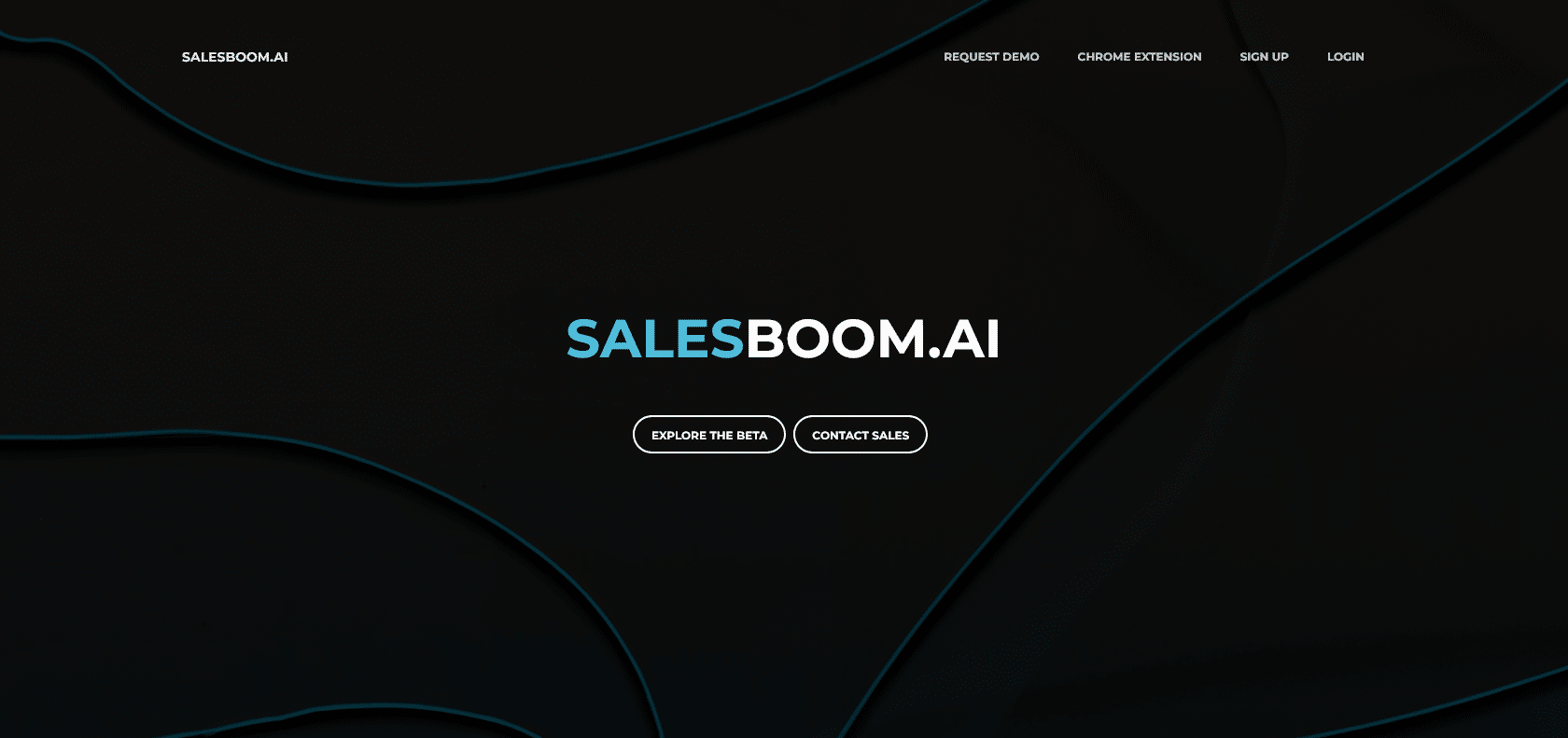 Screenshot of Salesboom Website