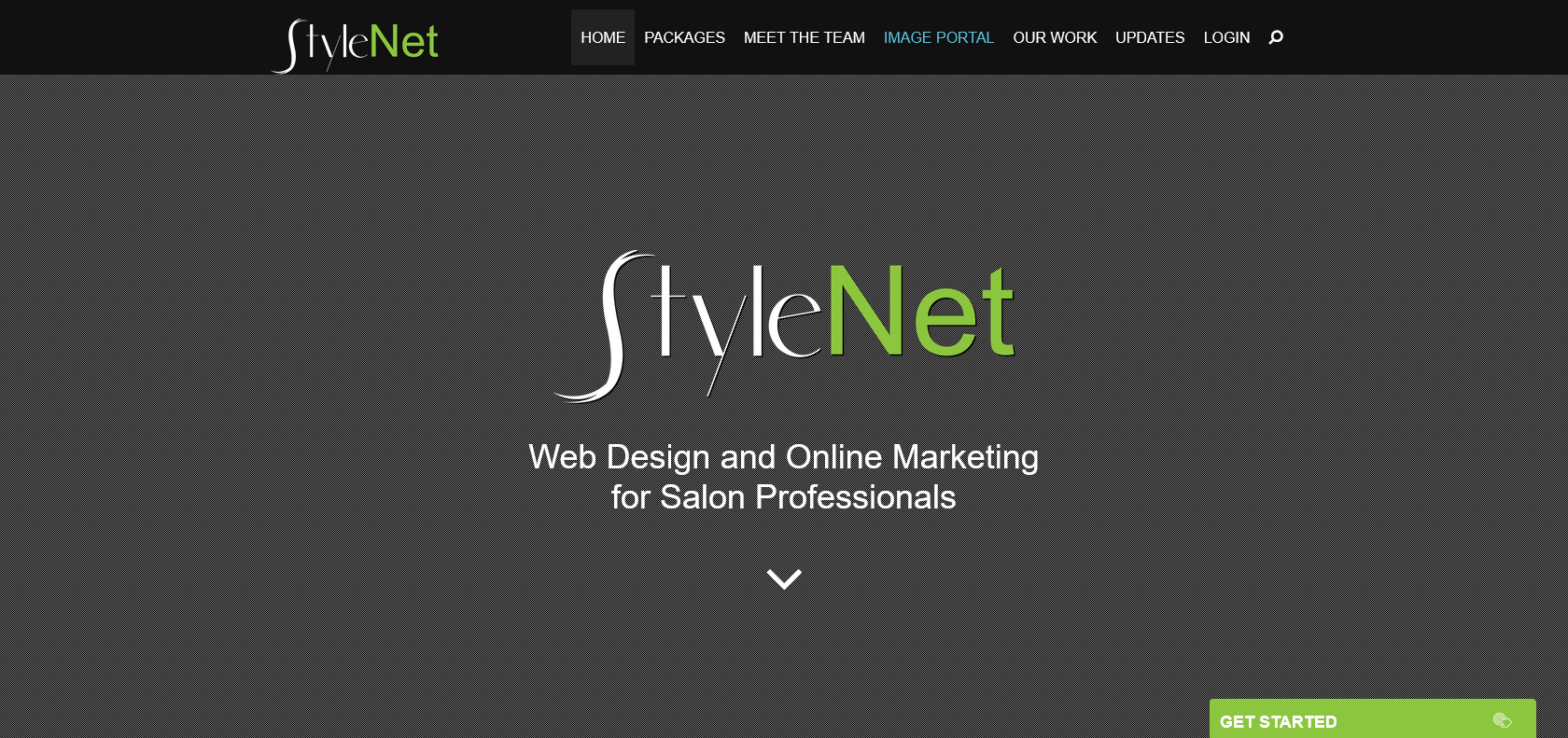 Screenshot of StyleNet Website