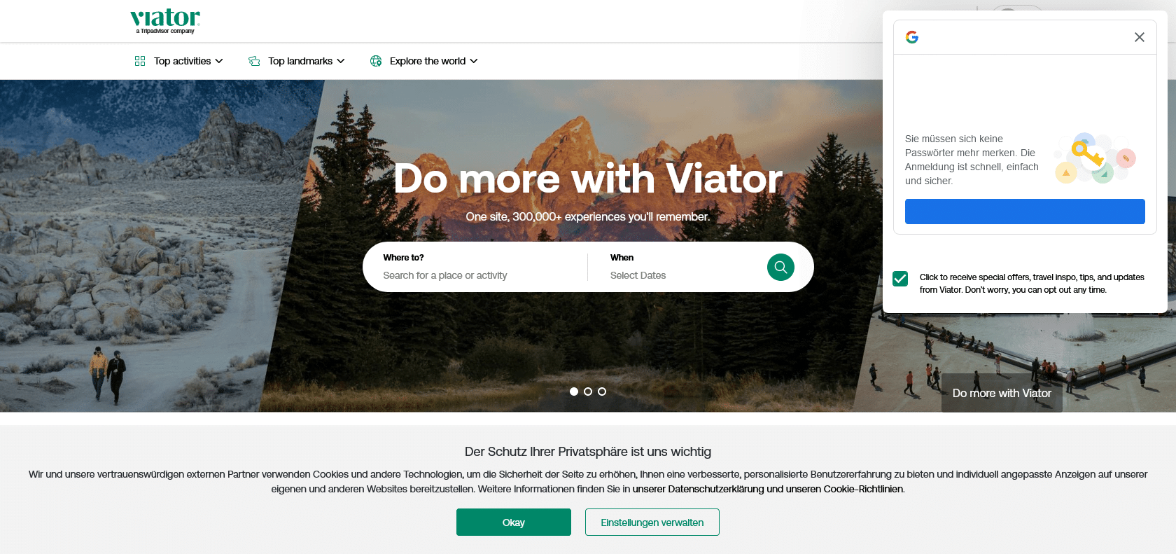 Screenshot of Viator Website