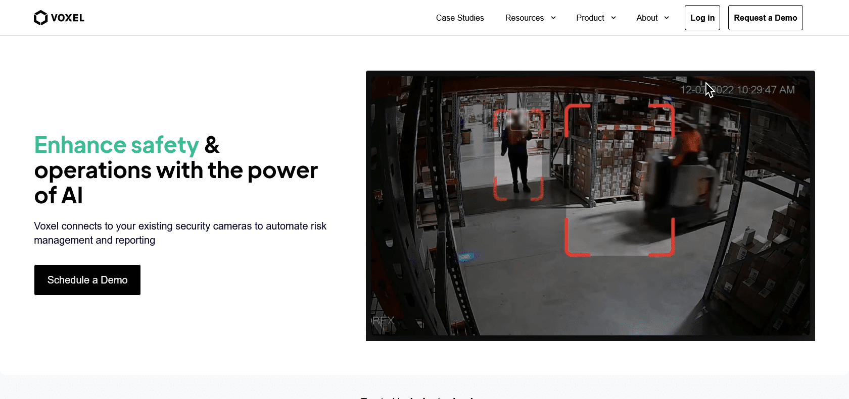 Screenshot of Voxel AI Website