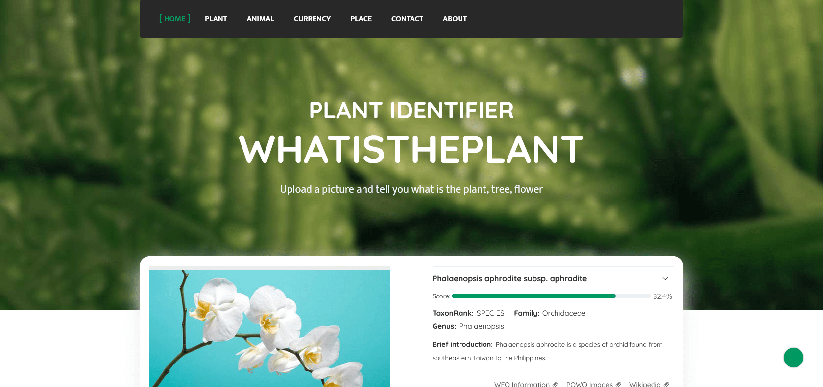 Screenshot of What is the Plant? Website