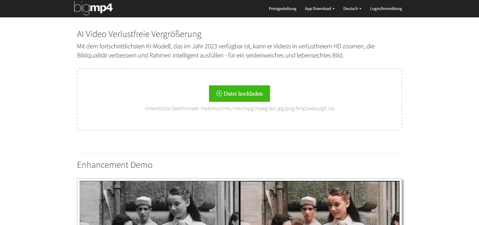 Screenshot of bigmp4 Website